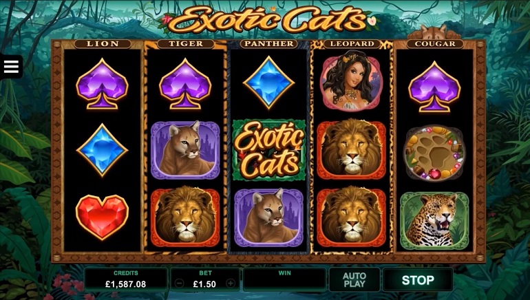 كازينو Wazamba لقطة الشاشة 1