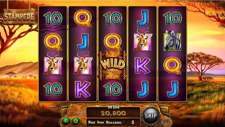 Bet it All Casino لقطة الشاشة 3